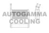 AUTOGAMMA 103149 Heat Exchanger, interior heating